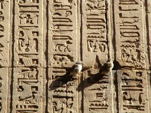 Photo »D05_0744« aus dem Edfu-Projekt.