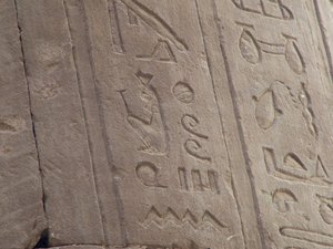 Photo »D05_6991« of the Edfu-Project.