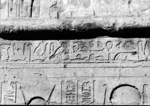 Photo »2081« aus dem Edfu-Projekt.