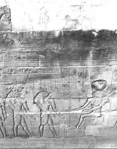 Photo »3037« aus dem Edfu-Projekt.
