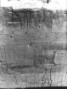 Photo »3087« aus dem Edfu-Projekt.