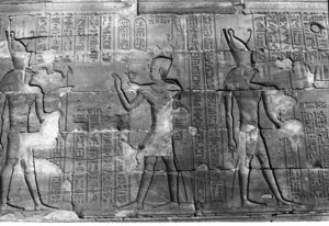Photo »263« aus dem Edfu-Projekt.