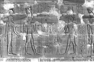 Photo »294« aus dem Edfu-Projekt.