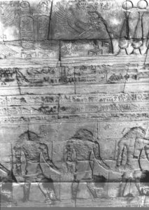 Photo »3072« aus dem Edfu-Projekt.