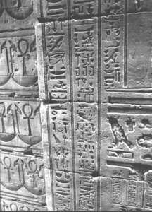 Photo »3619« aus dem Edfu-Projekt.