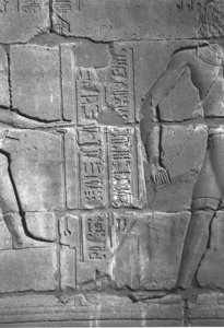 Photo »4318« aus dem Edfu-Projekt.