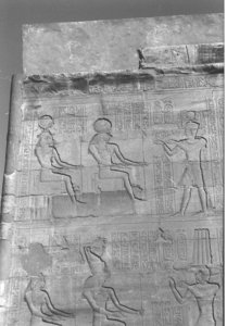 Photo »4358« aus dem Edfu-Projekt.