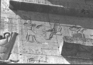 Photo »515« of the Edfu-Project.