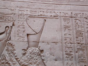 Photo »D03_0409« aus dem Edfu-Projekt.
