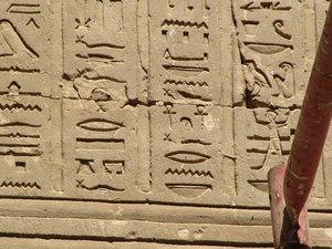 Photo »D05_1312« aus dem Edfu-Projekt.
