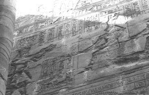 Photo »1206« aus dem Edfu-Projekt.