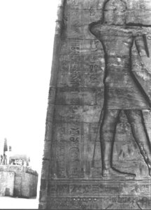 Photo »2895« aus dem Edfu-Projekt.