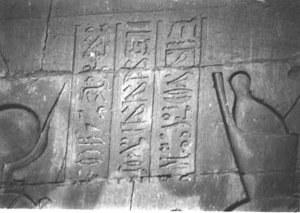 Photo »4162« aus dem Edfu-Projekt.
