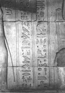 Photo »4170« aus dem Edfu-Projekt.