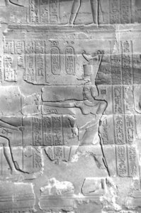 Photo »4194« aus dem Edfu-Projekt.