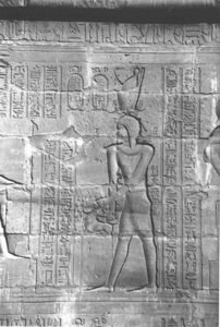 Photo »4298« aus dem Edfu-Projekt.