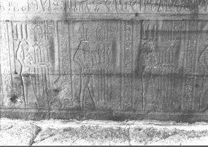 Photo »501« of the Edfu-Project.