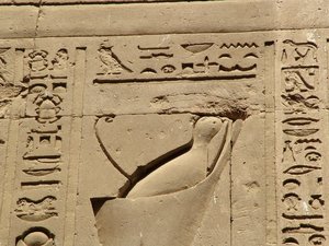 Photo »D05_1365« aus dem Edfu-Projekt.