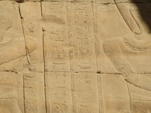 Photo »D05_3867« of the Edfu-Project.