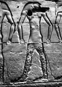 Photo »2955« aus dem Edfu-Projekt.