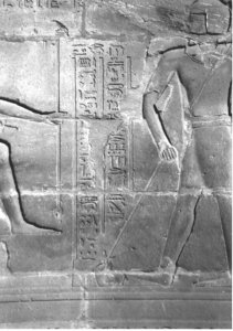 Photo »4398« of the Edfu-Project.