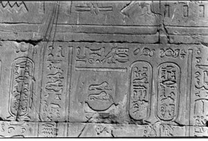 Photo »12« of the Edfu-Project.