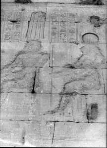 Photo »887« of the Edfu-Project.