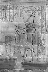 Photo »4091« aus dem Edfu-Projekt.