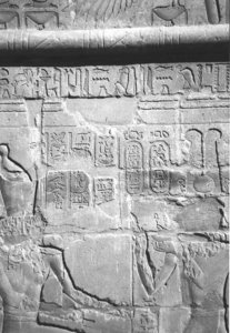 Photo »4252« aus dem Edfu-Projekt.