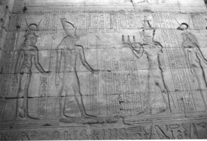 Photo »1484« aus dem Edfu-Projekt.