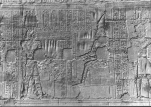 Photo »2697« aus dem Edfu-Projekt.