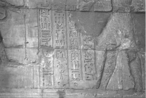 Photo »4217« aus dem Edfu-Projekt.