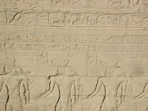 Photo »D03_0866« aus dem Edfu-Projekt.