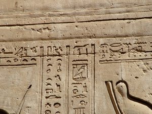 Photo »D05_1536« aus dem Edfu-Projekt.