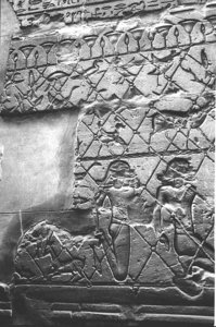 Photo »1288« aus dem Edfu-Projekt.