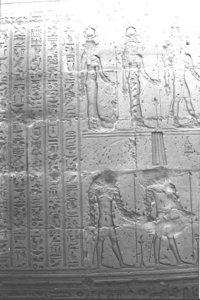 Photo »1371« aus dem Edfu-Projekt.