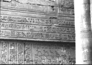 Photo »3604« aus dem Edfu-Projekt.