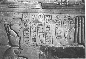 Photo »3984« aus dem Edfu-Projekt.