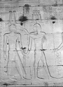 Photo »728« of the Edfu-Project.