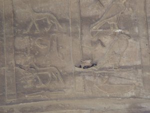 Photo »D05_5048« of the Edfu-Project.