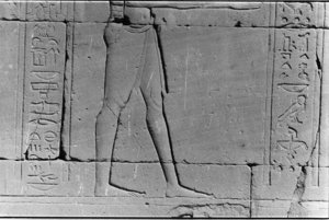 Photo »10« of the Edfu-Project.