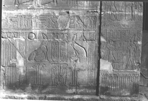 Photo »224« aus dem Edfu-Projekt.