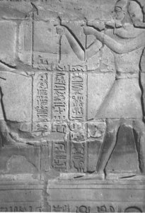 Photo »4420« aus dem Edfu-Projekt.