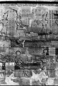Photo »462« aus dem Edfu-Projekt.