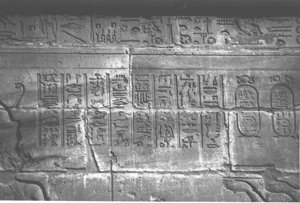 Photo »4278« aus dem Edfu-Projekt.