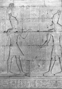 Photo »820« of the Edfu-Project.