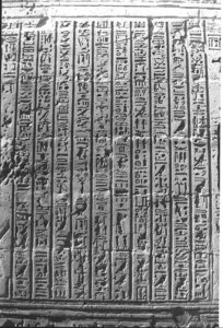 Photo »1352« aus dem Edfu-Projekt.
