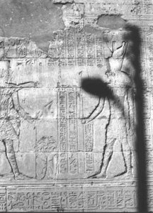 Photo »2217« aus dem Edfu-Projekt.