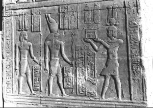 Photo »2715« aus dem Edfu-Projekt.