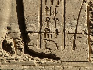 Photo »D05_0775« aus dem Edfu-Projekt.